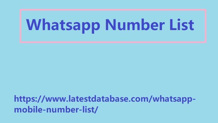 Whatsapp Number List
